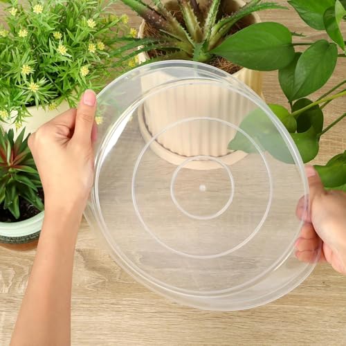 5 Pack Clear Plant Saucer, 4 5 6 8 10 12 14 16 18 20 22 Inch Durable Plastic Water Catcher Trays for Flower Pots, Plant Drip Trays for Indoor Outdoor Planter (5 inch) - size: 5 inch