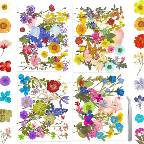 140+ PCS Real Dried Pressed Flowers Leaves Petals for Crafts Yellow- Beautiful Pressed Flowers Daisies for Resin Jewellery, Pressed Flowers Nail Pendant Crafts Making Craft DIY Accessories - color: Color-mini Flower