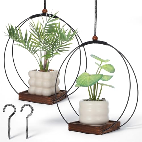 2 Pack Hanging Planters,12 Inch Metal Plant Hanger Flower Pot Holder