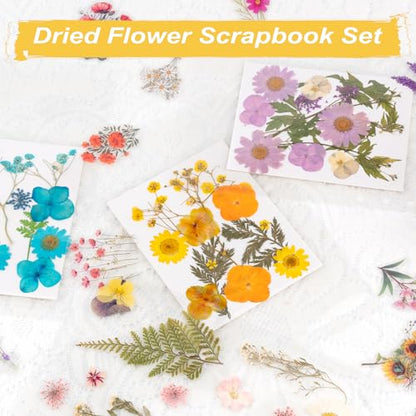 Alvian A4 Dried Flower Pressing Scrapbook Kit - 50pcs Floral Stickers & Transparent Pages for Pressed Flower Storage, Organizing, Resin Art & Scrapbooking - Ideal Gift for Gardeners, Plant Lovers