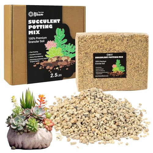Succulent & Cactus Potting Soil Mix, Well-Draining Indoor Potting Soil with Akadama, Kanuma, Pumice, Zeolite & Activated Charcoal, Premium Plant Soil for Succulents and Cactus (2.5 lb) - size: 2.5 lb