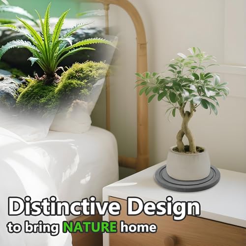 Augshy Plant Saucers 2Pcs 8in Diatomaceous Earth Instant Dry Tray for Plant | Round Pot Trays to Catch Water, Indoor Outdoor Plant Drip Pans, Quick Drying Flower Pot Saucer - size: 8 Inch