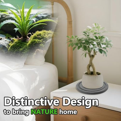 Augshy Plant Saucers 2Pcs 8in Diatomaceous Earth Instant Dry Tray for Plant | Round Pot Trays to Catch Water, Indoor Outdoor Plant Drip Pans, Quick Drying Flower Pot Saucer - size: 8 Inch