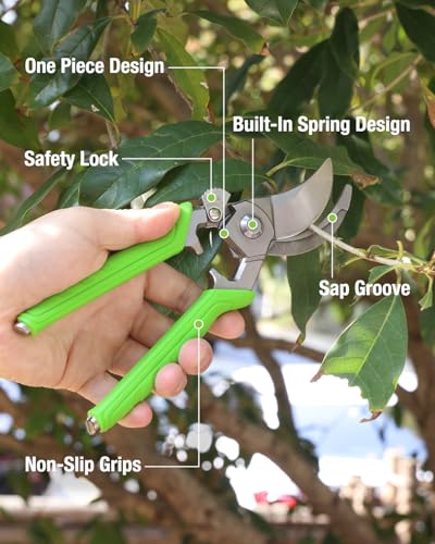 WORKPRO 8.5" Bypass Pruning Shears, Professional Forged Garden Shears | Forged Stainless Steel Blades, 3/4" Cut Capacity, Spring-Loaded, Safety Lock, Hand Pruner for Trimming, Bonsai, Flowers