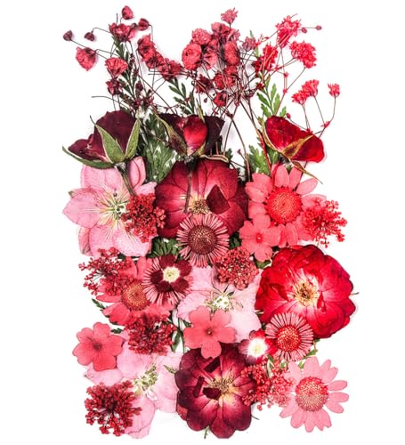 15 Types 37pcs Red Dried Pressed Flowers for Resin Molds,YouthBro Real Natural Pressed Flowers for DIY Art Crafts,Candle Making, Nails Décor,Soap Making, Phone Case - color: Redflowers