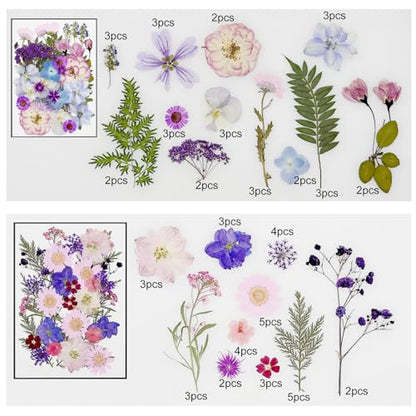 Cayway 170 PCS Real Nature Dried Pressed Flower Leaves, Pressed Flowers for Resin, Real Nature Pressing Floral Leaves for DIY Craft, Candle Scrapbooking Supplies, Purple - color: 170pcs-purple