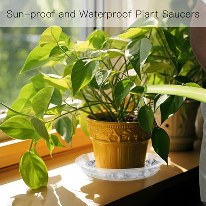 6 Pack Plant Saucers of 12 Inch, Clear Plastic Plant Trays for Pots Indoor Outdoor, Round Durable Sturdy Plant Water Catcher Tray for Drainage Decoration Protection