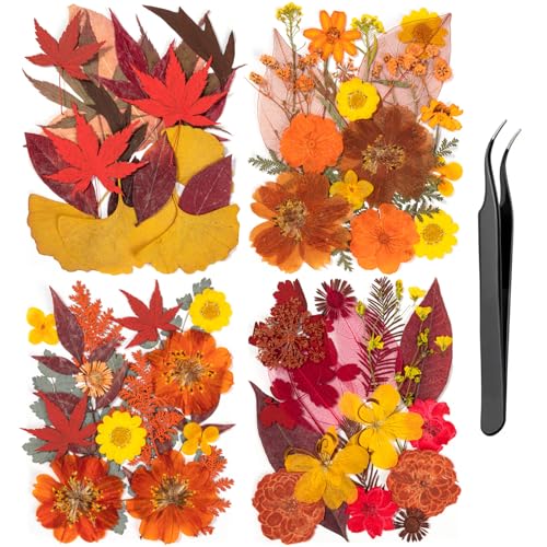 78 Pcs Fall Dried Pressed Flowers with Tweezer, Fall Themed Real Dried Flowers Leaves for DIY Crafts Resin Molds, Yellow Orange Dried Flowers for Autumn Halloween Thanksgiving Decorations - size: Orange 78pcs