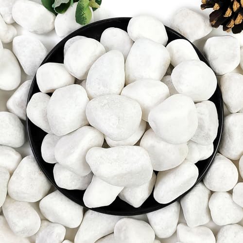 YISZM 5lb White Pebbles for Indoor Plants, 1-2 Inch Natural River Rocks, Snow White Decorative Stones, Ideal for Fish Tank, Vases, Crafting, Home Decor and Garden Landscaping Rocks - size: 5 Pounds, style: 1-2 Inch