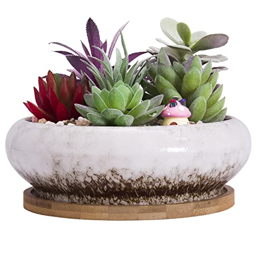 Bonsai Pots, 7.3 Inch Large Succulent Pots with Drainage Shallow Plant Pots | Ceramic Pots for Indoor Cactus Plants Decorative Flower Plant Container, Plant Lover Gift - color: White