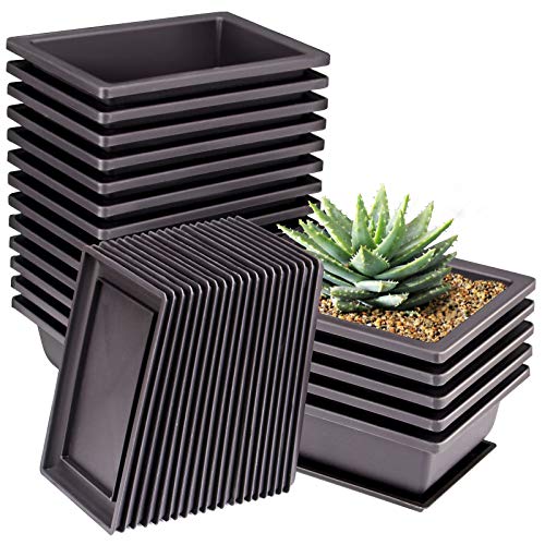 ZOENHOU 20 PCS 6.5 Inch Rectangular Bonsai Training Pots, Premium Plastic Plant Pot with Deep Humidity Trays, for Plants Flowers African Violets Reusable Durable - size: 6.5x4.8 Inch