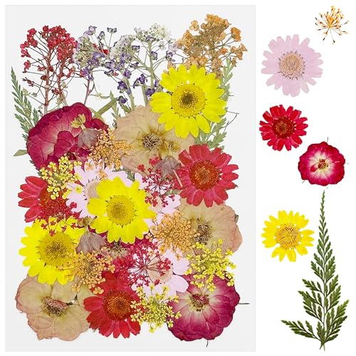 Cayway 40 PCS Dried Pressed Flowers for Resin, Real Pressed Flowers Dry Leaves Kit Natural Dried Pressed Leaves for Art Crafts Resin Scrapbook Supplies Soap Candle DIY, Pink and Red Rose - color: Red-pink-40