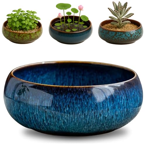Oncpcare Lotus Bowl Planter – Ceramic Water Plant Pot Sacred Bonsai Bowl Lotus Flower, Shallow Glazed Vase for Lotus Seeds, Bonsai, Succulents, Hydroponic Plants (Blue) - color: Blue-a