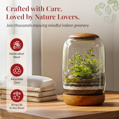 Exclusive Glass Terrarium with Natural Wood Lid and Base, Excellent for Plants and Decoration for Home or Office, Size: 8.7" Tall (22 cm) by 6.3" Wide (16 cm)