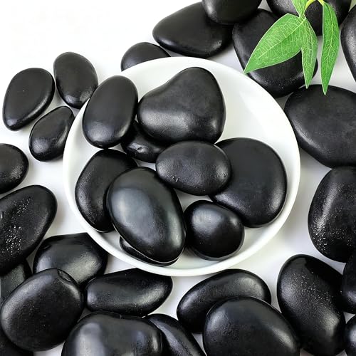 SIDONG 5 lbs Black River Rocks, 1.2-2 Inches Polished Pebbles for Indoor Plants, Aquarium Rocks Used in Fish Tank, Decorative Stones for Plants, Vases, Home Décor, Crafting, Garden Landscaping - color: Black, size: 5 lbs,1.2-2inch