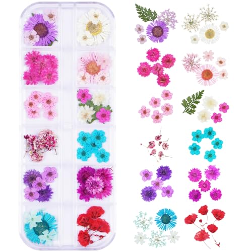 60Pcs Small Dried Pressed Flowers for Crafts,Xinxinran Tiny Dry Flower Kit for Nail Art,Epoxy Resin Accessories,Bookmark,Nails, Jewelry Making,Candle,Soap,Resin Molds(1 Boxs) - color: Blue Purple 60pcs