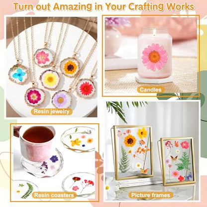 235 Pcs Pressed Dried Flowers for Resin, Natural Real Dried Pressed Flowers for Crafts, Bulk Dry Flowers for Resin Molds, Candles, DIY Art Jewelry Making with Tweezers Butterfly Stickers Set Decorate - size: 235 Pcs Dried Flowers with Butterfky