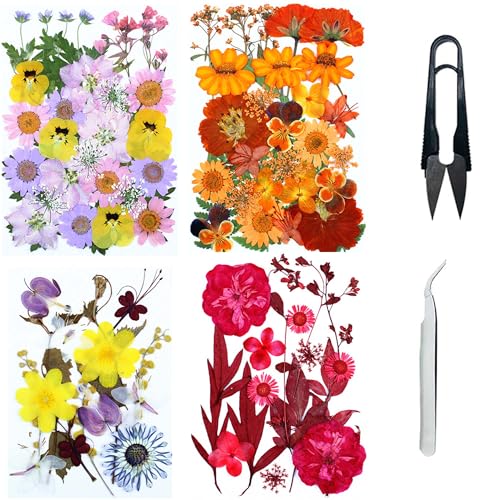 Cayway 4 Pack Natural Dried Pressed Flowers for Resin, Scrapbook, DIY Art Crafts, Epoxy Jewelry, Card Making Supplies - Colorful Real Flowers, Style F - color: 4 Pack Pressed Flowers a