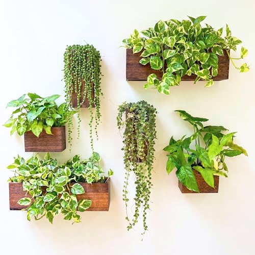 LaLaGreen Wood Planter Box for Plants (6 Pack) Wall Planters for Indoor - size: 6-pc Set A