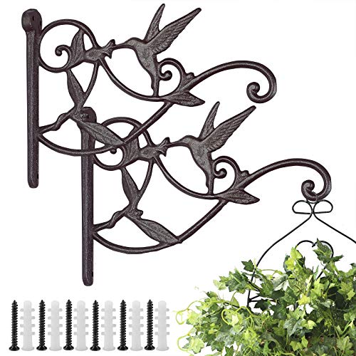 2PCS Plant Hangers Outdoor Plant Hooks for Wall/Fence, Hummingbird Hanging Plant Bracket Heavy Duty Cast Iron Plant Hanger for Lantern/Bird Feeder, Drak Brown - color: Drak Brown