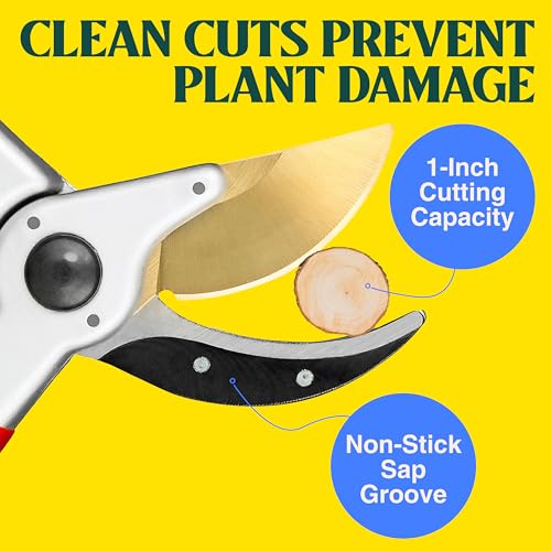 Haus & Garten ClassicPRO 8.5" Premium Titanium Bypass Garden Shears - Use as Pruners, Pruning Shears for Gardening, Hand Pruners, Handheld Garden Clippers, Scissors for Women - color: Pink Non Slip Soft Grips