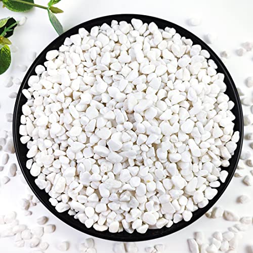 0.5LB Succulent and Cactus Gravel Pebbles, 1/5 Inch Natural Decorative Polished Stones, River Rocks for Vases, Aquariums, Terrarium and Outdoor Gardening, Mixed Color (White) - color: White