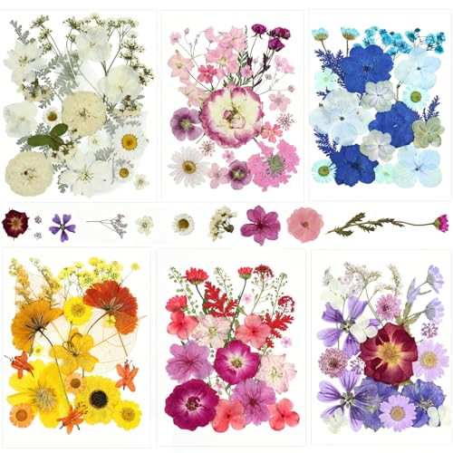 Real Nature Dried Pressed Flowers Leaves(120PcsPink White Purple)