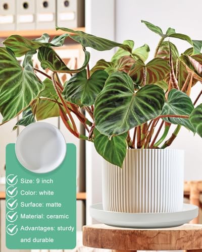 vensovo 9 Inch Ceramic Plant Saucer Pots Tray - 1 Pcs Modern White Planter Saucers for Indoor & Outdoor Plants, Large Pot Trays Perfect for 8 Inch 8.5 Inch 9 Inch Flowerpot