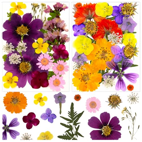 46Pcs Pressed Dried Flowers Real Natural Leave for DIY Resin Molds Candle Jewelry Nail Crafts