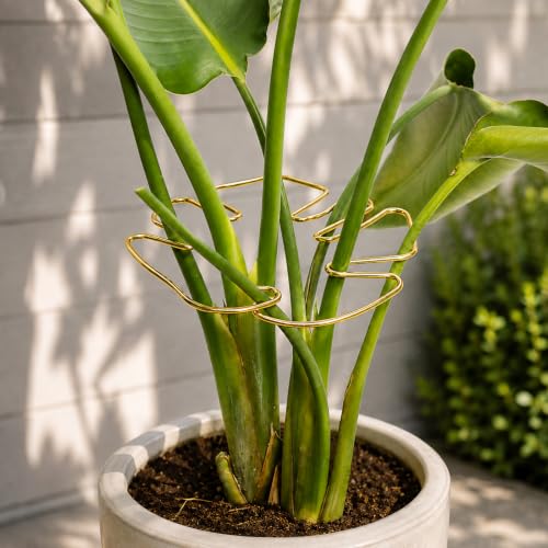 5PCS Durable Monstera Plant Stem Support Stake with Adjustable Leaf Holders - Plant Support Kit for Indoor Botanicals, Cactus Stabilizers, and Turtle Shell Climbers - Ideal for Plant Enthusiasts - color: Gold, size: 9IN*7.6IN