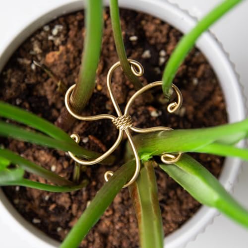 Yohsnor 2.75IN Gold Monstera Plant Stem Support Set-5 Durable Stabilizers - color: Gold, size: 2.75IN*2.75IN