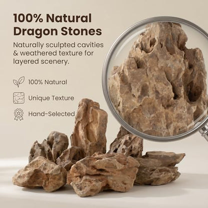 Natural Dragon Stones 1lb, Aquarium Aquascaping Rocks（2-5 inch） | Aquascaping Stone for Fish Tank,Terrariums,Paludariums,Reptile Enclosures & Gardens,Landscaping Rocks - color: Dragon Stone, size: 1Lb (2-5 inch)