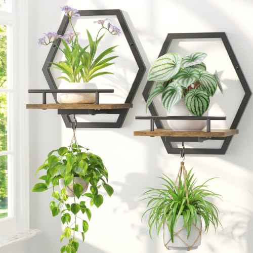 LASZOLA Plant Picture Frame Holder Shelf Wall Window Indoor, 2 Pcs Brown - color: Obsidian Black+Brown, size: 2