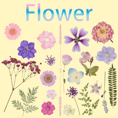 50Pcs Dried Pressed Flowers Resin Mould Real Pressed Flowers Natural Dry Leaves Bulk Mixed Colorful Daisy Herbs Kit with Tweezers for Scrapbooking DIY Candle Jewelry Crafts Making Nails(Purple) - color: Purple