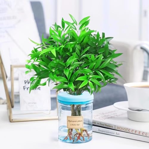 Plant Propagation Station, Hydroponic Glass Vase Jars for Office Home Garden Decor(Blue) - color: Blue