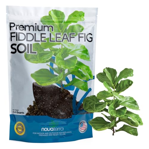 Novaterra Fiddle Leaf Fig Potting Soil Mix for Ficus Lyrata, 2.4 Quarts - color: Fiddle Leaf Fig Soil