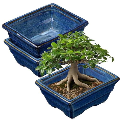 Villa Como Set of 2 Bonsai Pots with with Drainage Hole, 6.3" | Blue Glazed Rectangle Ceramic Bonsai Tree Pots, Small Bonsai Planters for Indoor Outdoor Plants, Succulents, Cactus, Flowers - color: Blue, size: 6.3"x4.9"x2.8"