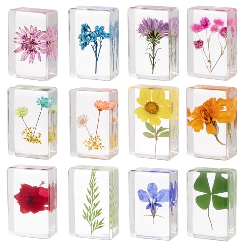 12 Pcs Real Pressed Flower Resin Paperweights - Botanical Specimen Collection for Home Desk Decor, Science Education, and Unique Display Supplies