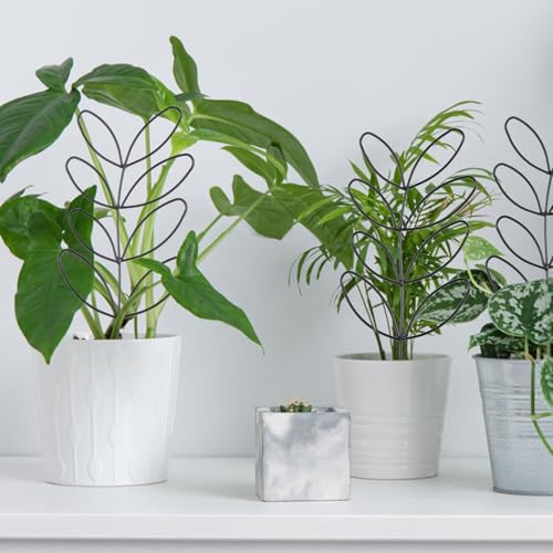 Nogeqi 2 Pcs Plant Trellis Indoor, Plant Support for Climbing, Plastic 12 Inch Small Plant Stakes for Indoor Plants, Trellis for Climbing Plants Garden Potted (Leaf Shape Black)