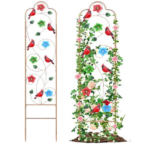2 Pack Metal Garden Trellis Arched Fence Trellises for Climbing Plants Outdoor, Roses, Vines, Flowers, and Vegetables Support, 60'' H x 12'' W Redbird - color: Redbird