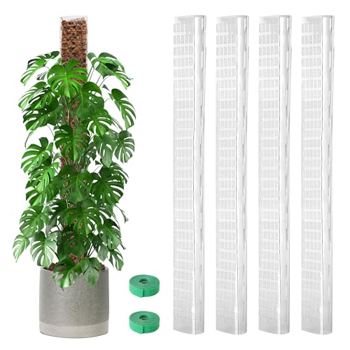 EOX Plastic Moss Pole for Monstera and Climbing Plants, 36-Inch, 4-Pack | Clear D-Shaped Design, Fold-to-Assemble, Sphagnum Moss Not Included, Helps Retain Moisture, Rooting Grid for Aerial Roots