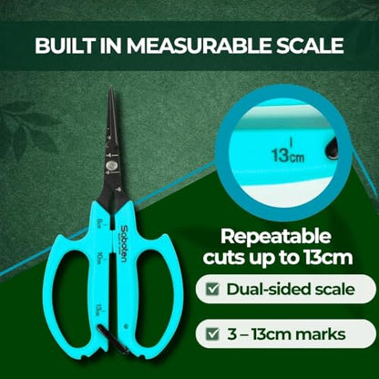 Saboten Japanese Harvesting Shears, Magnetic Springless, Fine-Tip Angled Blade, Fluorine-Coated Steel, Non-Slip Grip, Safety Lock, Made in Japan (Turquoise) - color: Turquoise