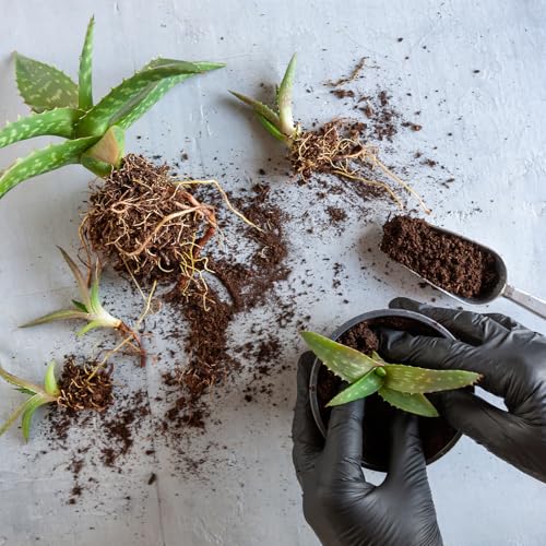 Doter Aloe Vera Potting Soil Mix 10qt, Ready to Use for Seedling and Growing of Aloe Vera Plants or Other Houseplants - size: 10qt
