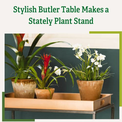 Gardener's Supply Company Essex Butler's Tray Plant Stand | Sturdy Indoor Potted Plants & Flower Holder with Watertight Planter Tray for Water Spills and Easy Transport | Easy to Install