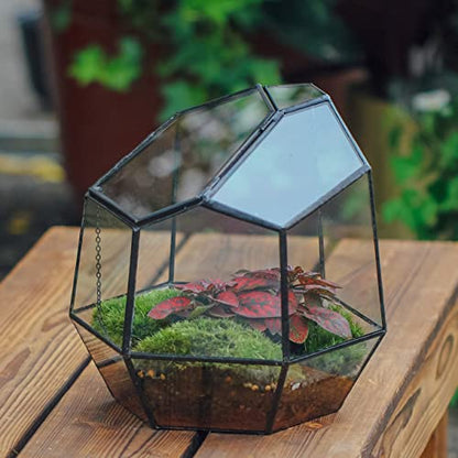 NCYP Handmade 7.5inches Small Close Geometric Terrarium with Door, Black Irregular Glass Planter, Modern Succulent Cacti Flower Pot, Home Garden Decor DIY Gift (Plants and Props NOT Included) - size: 8x7x7.5inches