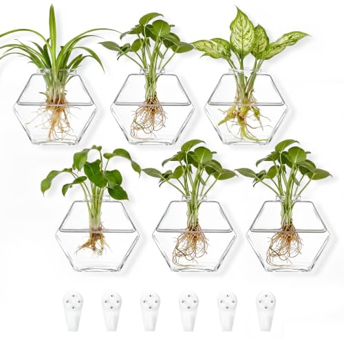 6 Set Wall Glass Planter Hanging Propagation Glass Wall Planter