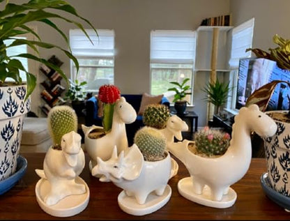 Cute Animal Shaped Planter Flower Pot Frog Shape Small Succulent pots with Drainage Ceramic Animal Planter (Dinosaur 4pcs) - color: Dinosaur 4pcs