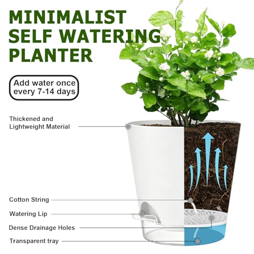 QRRICA 5/5.5/6/6.5/7/8 inch Self Watering Pot Set, Visible Water Level Planter with Transparent Reservoir & Drainage Holes, Plastic Flower Pots with Cotton Rope for Indoor/Outdoor Use (White) - color: White