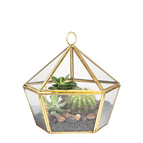 NCYP Modern Clear Glass Jewelry Box with Swing Lid, Pentagon Shape Closed Geometric Terrarium Planter Pot for Succulent Plant, Fern, Wedding Decor, Gold Container (No Plants)