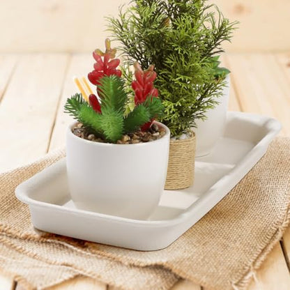 Yardwe 5 Pack Rectangular Plant Tray, Reusable Catch Excess Water for Pots